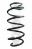 SPIDAN 86951 Coil Spring